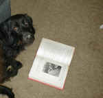 pidi.jpg (77680 bytes)